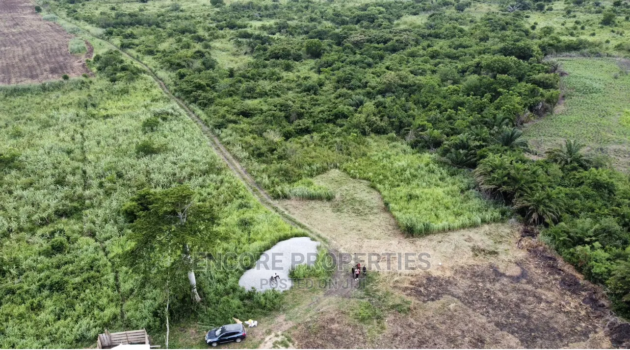 100 Acres of Farm Land Now Selling at Winneba