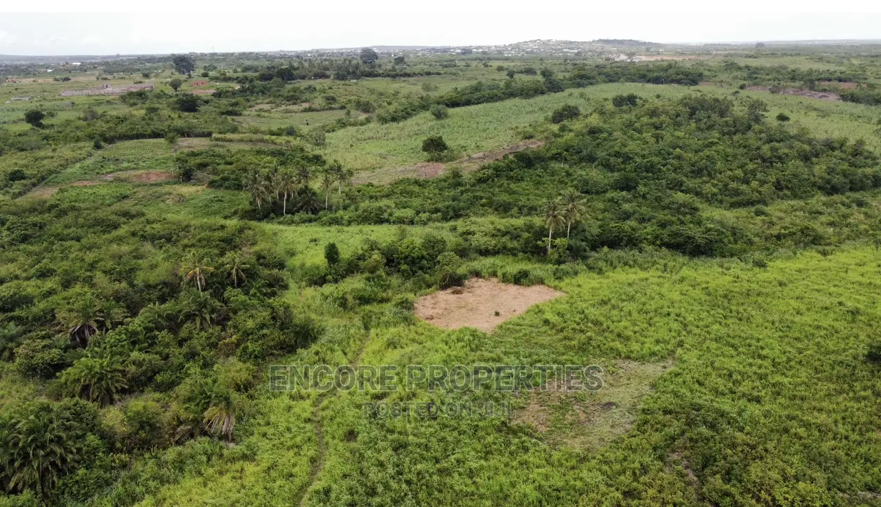 100 Acres of Farm Land Now Selling at Winneba