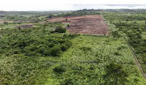 100 Acres of Farm Land Now Selling at Winneba