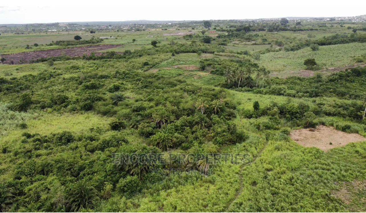 100 Acres of Farm Land Now Selling at Winneba