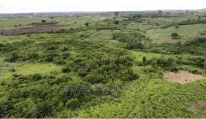 100 Acres of Farm Land Now Selling at Winneba