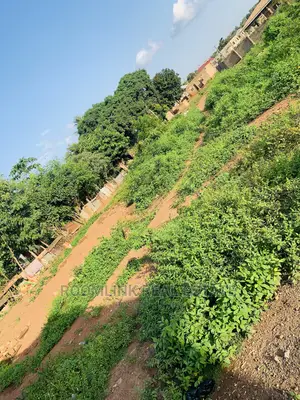 Hostel Land at Uenr (Fiapre)