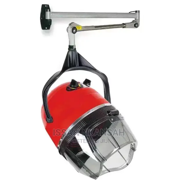 Wall Mounted Hair Dryer