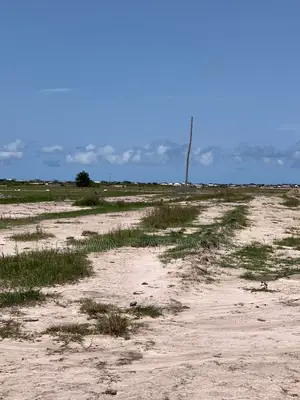Buy Land From Estate Masters and Have Some Peace of Mind