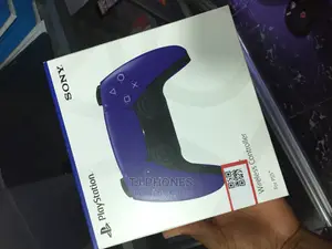 Ps 5 Controller