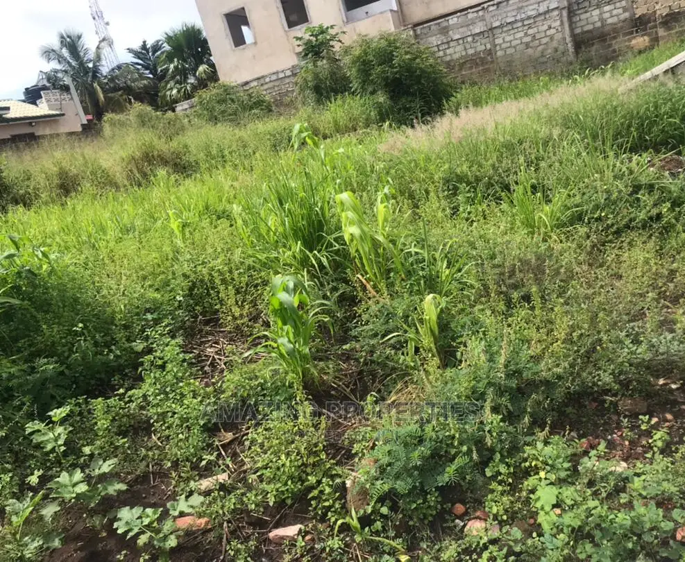 20 Acres of Land at West Trasacco in Adjiriganor Land & Plots for