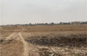 Land Is Wise Choices That Will Result in Long-Term Success