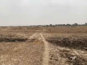 Incredibleaffordable and Neatly Demarcated Land at Prampram*