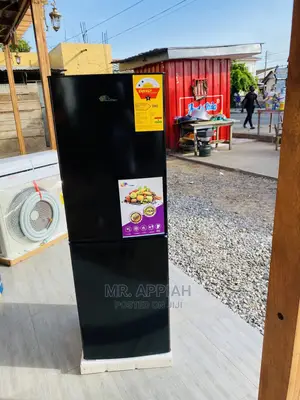 Fast Rainbow Double Door Refrigerator on Sale(RF-200b) 