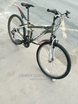 Nice Spring Sports Bike