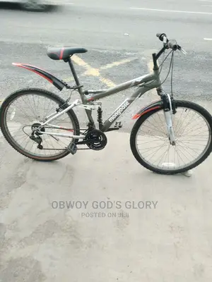 Nice Spring Sports Bike
