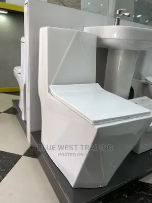 Water Closet - One Piece Water Closet - Diamond Shaped WC
