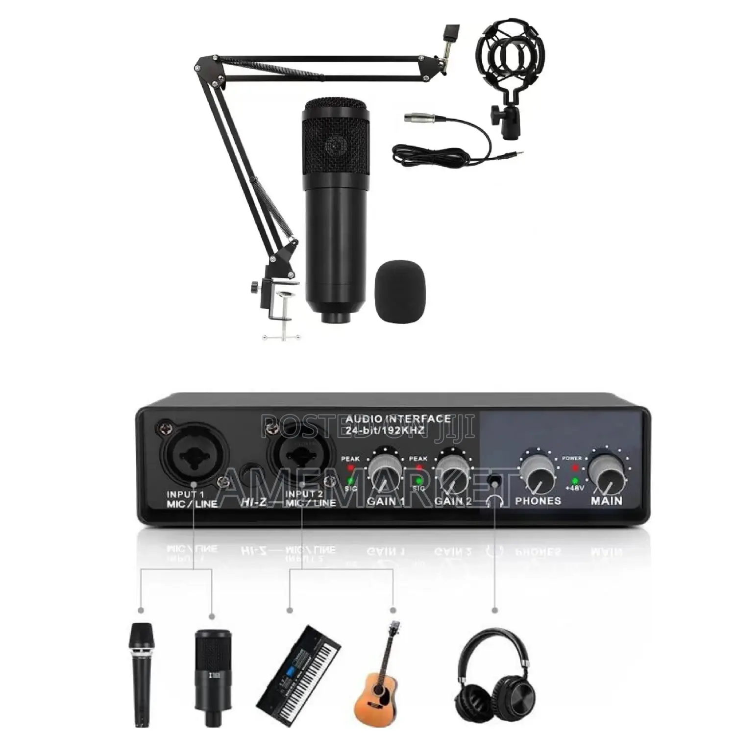 Audio Interface With Studio Microphone. Live Recording