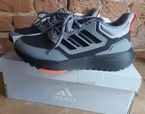 Adidas Sneaker or Trainer