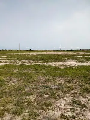 Dependable Lands for Sale