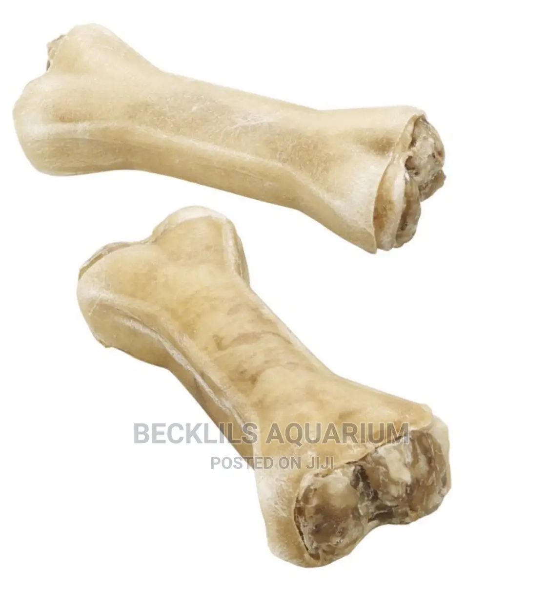 Dog Chewing Bone