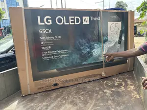Oled LG Uhd Display Cx Series 65”