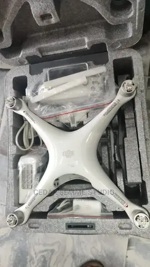 Professional Drone Services (Aerial Photography/Videography)