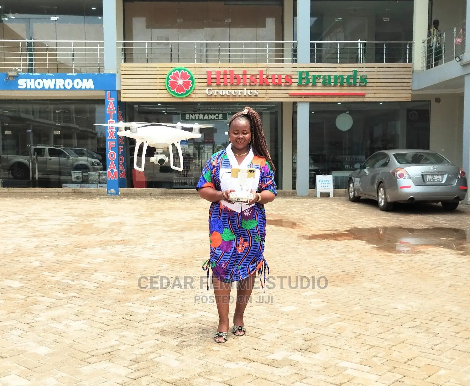 Professional Drone Services (Aerial Photography/Videography)