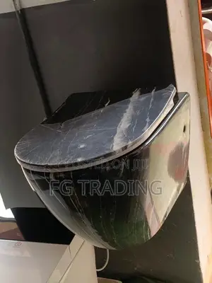 Black Toilet Bowl - Hanging WC - Concealed Toilet