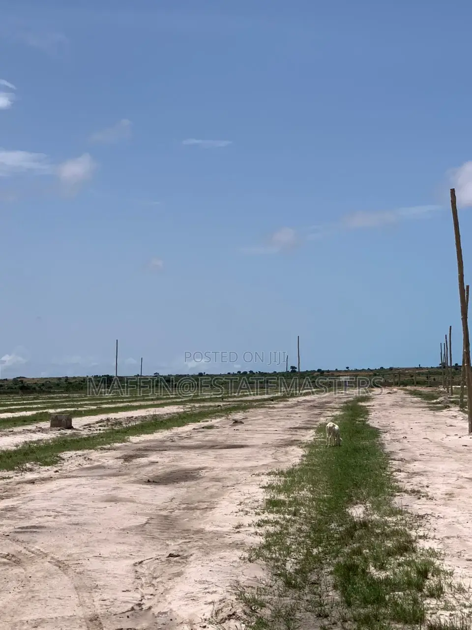 A Heart Warming New Airport City Area Lands for Sale