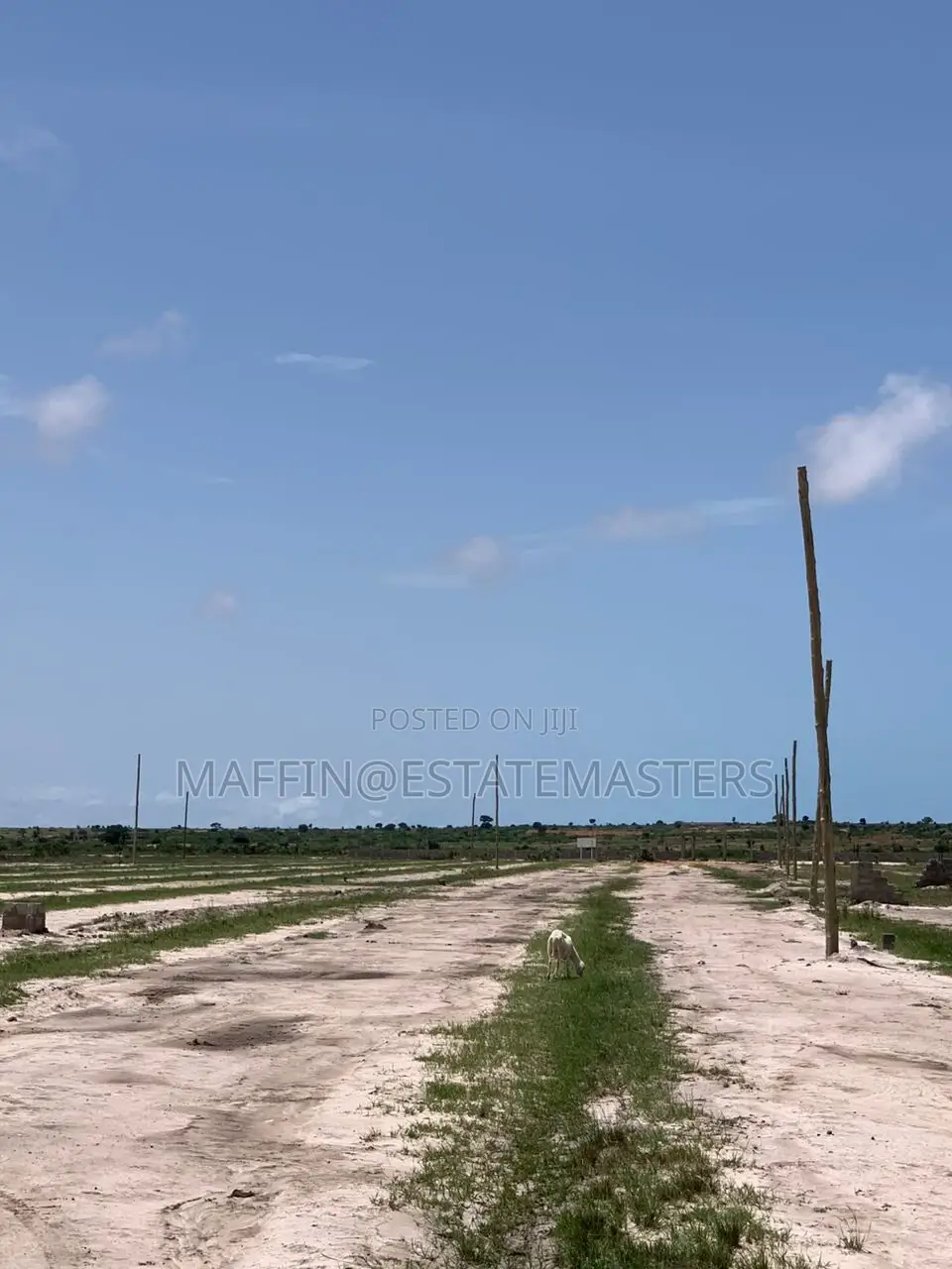 A Heart Warming New Airport City Area Lands for Sale