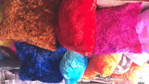 Beautiful Throw Pillows