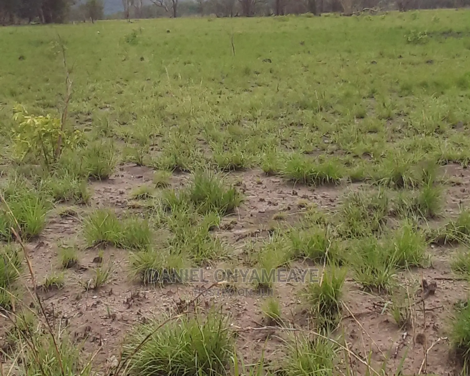 Land at Dawhenya, Asutuary Junction and More