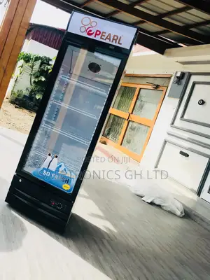 PVC 49–. 368 L Frost Free Pearl Display Fridge