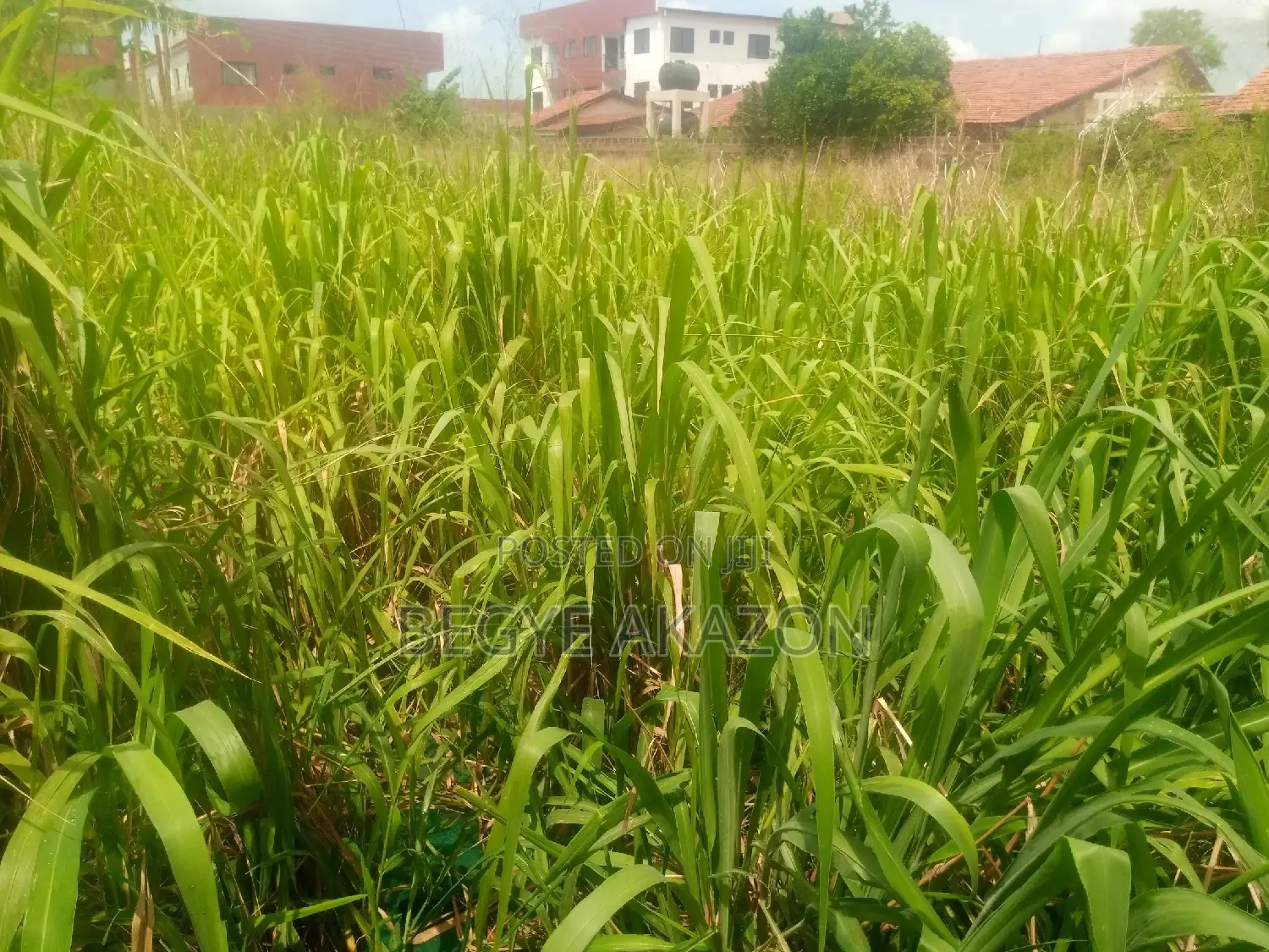 2 Plots of Land for Sale at Ogbodjo