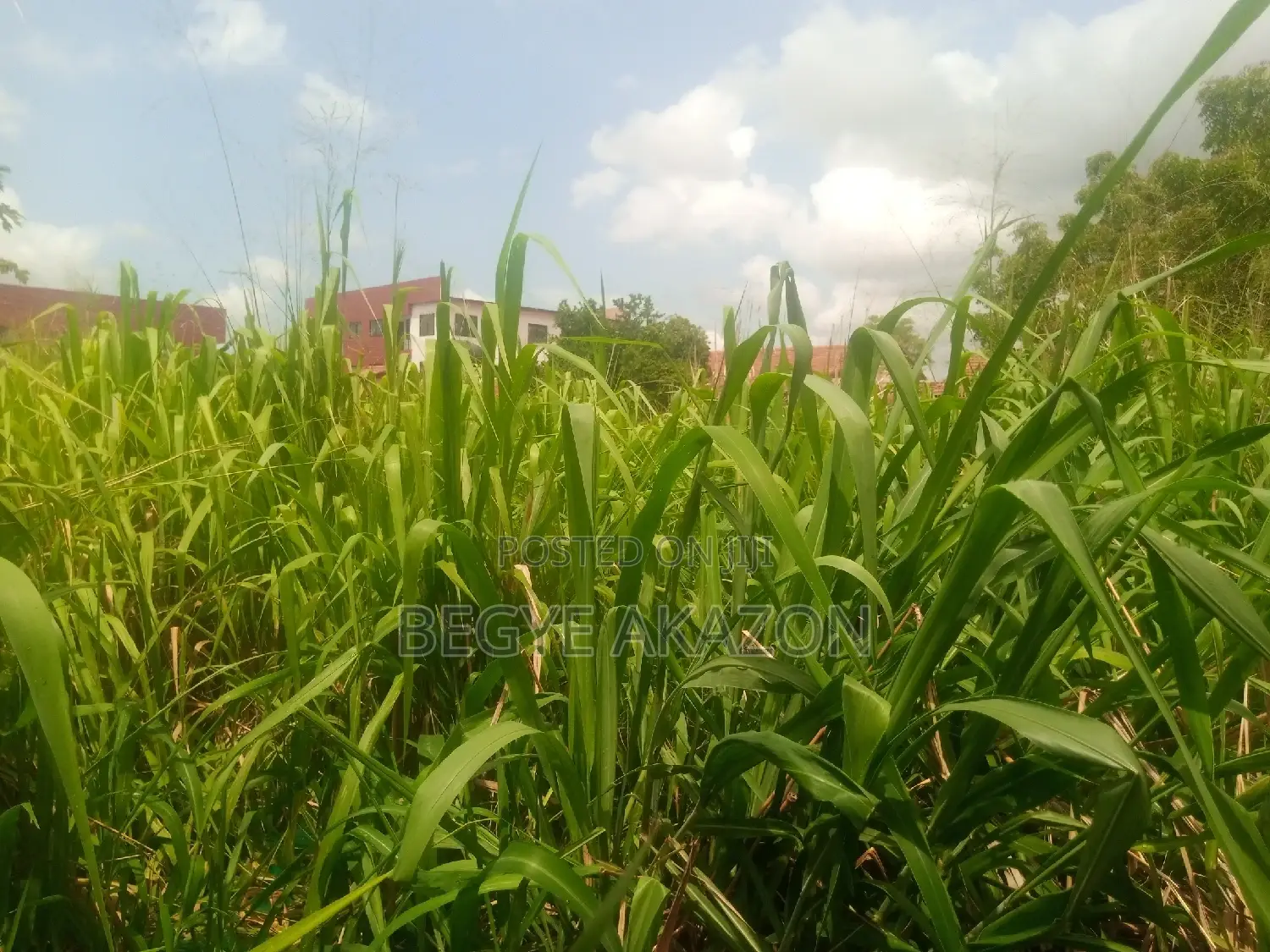 2 Plots of Land for Sale at Ogbodjo