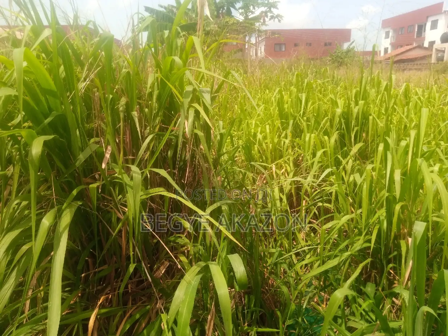 2 Plots of Land for Sale at Ogbodjo