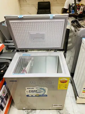 Quality Yet Affordable Bruhmchest Freezer(HS-324CN)Ondisplay