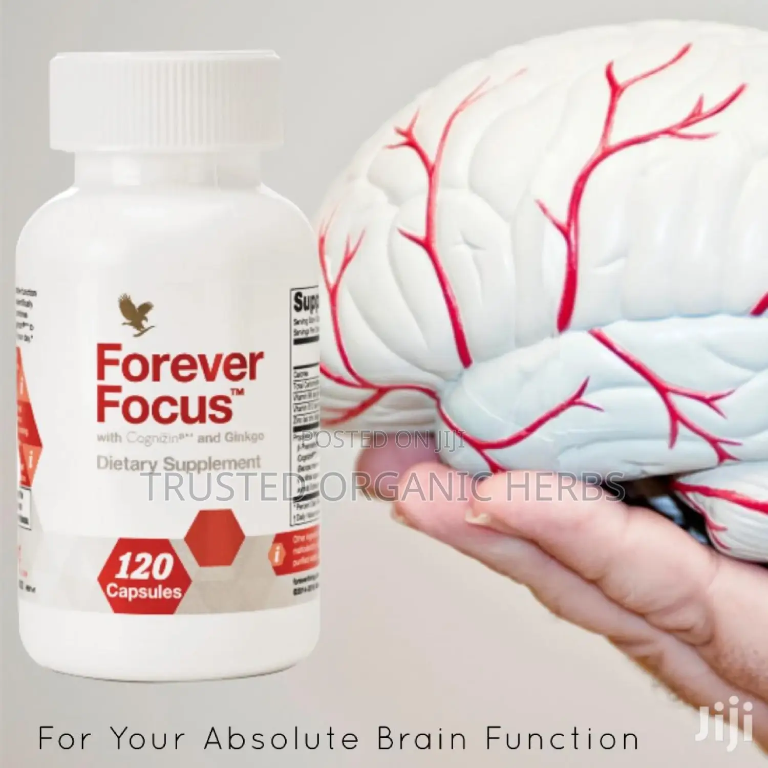 Forever Living Product for Brain Booster (Mental Focus)