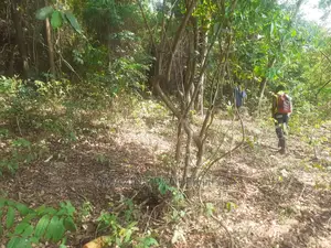 6 Plots of Land at Klagon
