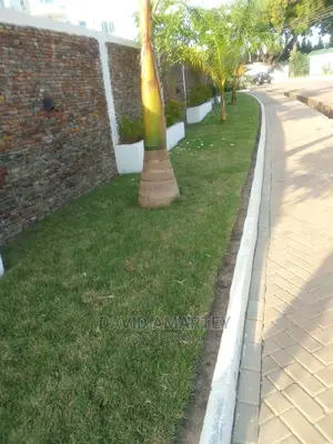 Landscaping Experts