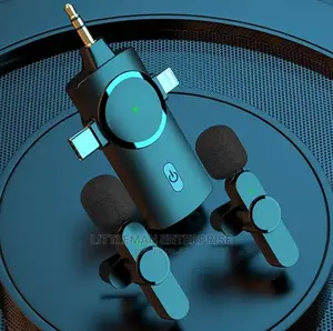 Wireless Live Lavalier Lapel Mini Microphone
