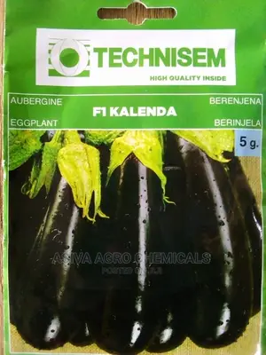 Aubergine Seeds