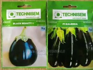 Aubergine Seeds