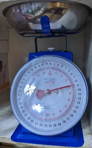 Kitchen/ Cold Store Scale (Strong)