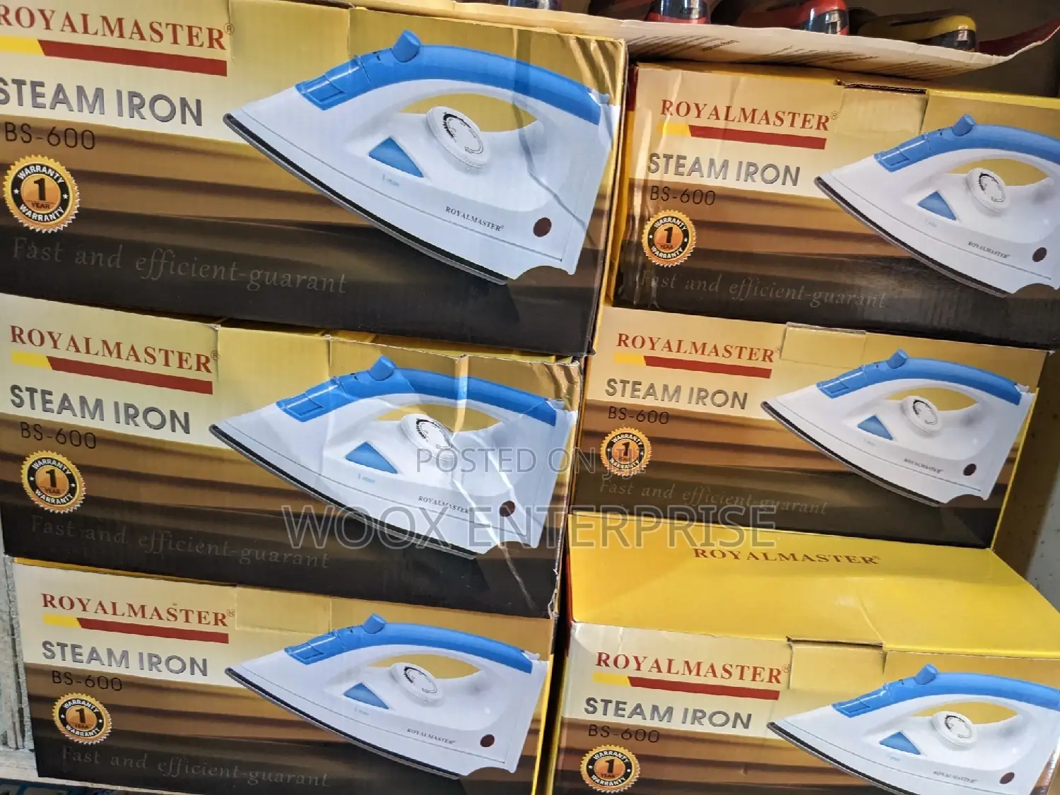 Royal Master Steam Iron