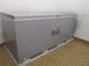Wonderful Chest Freezer 708L