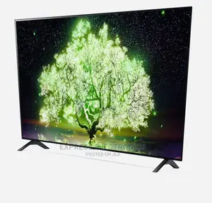 Long Lasting Durability UHD Tv LG OLED65A1PVA 65”