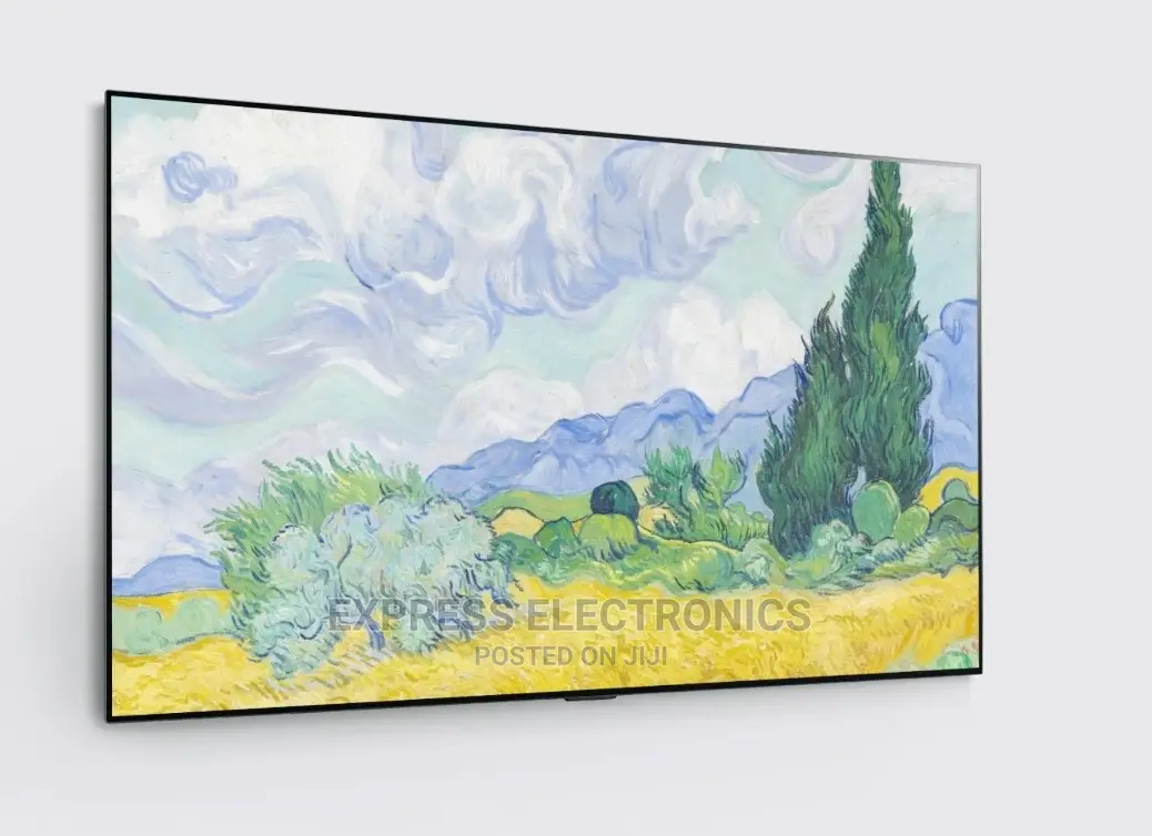 Long Lasting Durability LG 65" OLED65G1PVA OLED Evo TV,