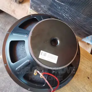 GLS G1590 Naked Speaker