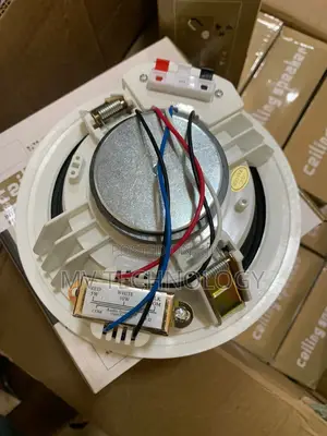 Original Ceilling Speaker 6 Inch 10w
