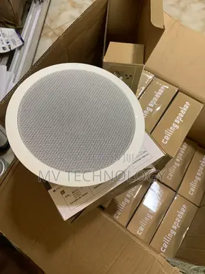 Original Ceilling Speaker 6 Inch 10w