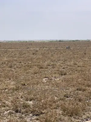 Empowering Land Ownership at Ningo-Prampram