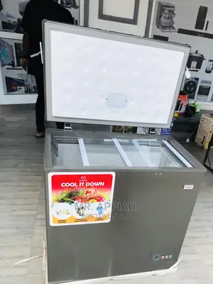 (260s.200L)Shop Affordable Zara Chest Freezer at Best Price