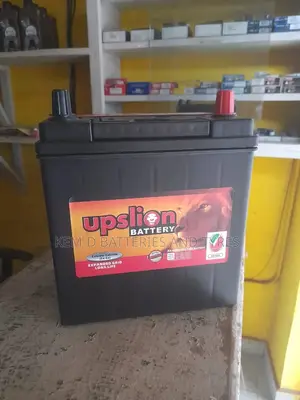 Upslion Batteries - 11 Plates